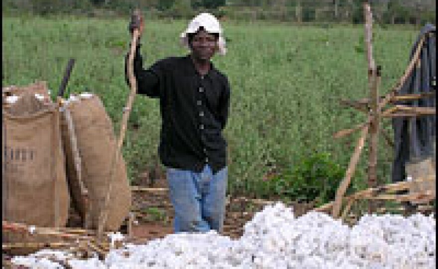 A cotton grower stands in a field in Mozambique. African farmers say U.S. subsidies drive prices so low that they can barely make a profit.