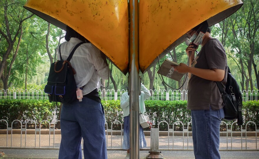 The performance artist Nut Brother came up with the idea of having Gourd Island residents call the Beijing payphone to seek redress for the environmental issues they face.