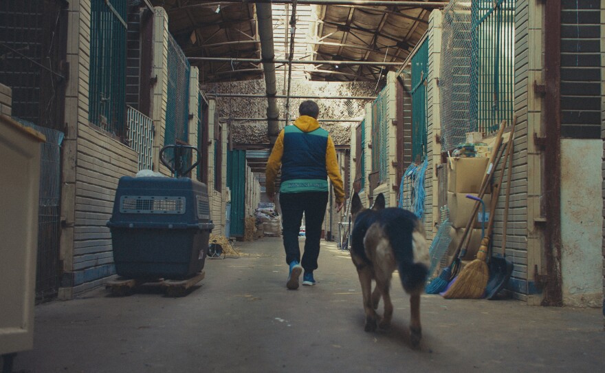 Natalia Popova, wild animal rescuer, and her dog make their rounds at an animal shelter in the Kyiv region.