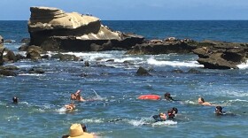People swimming at the beach in La Jolla Cove, Sunday, July 22, 2018. 