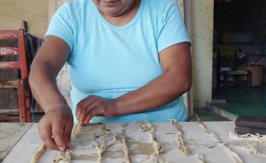Carmela Santos and her extended family borrowed money from a microbank to grow their handmade paper company in San Pablito, a small village in the central Mexican state of Puebla. But that's been hard given the current financial crisis, she says. Here, she demonstrates the Aztec method of turning tree bark into paper.