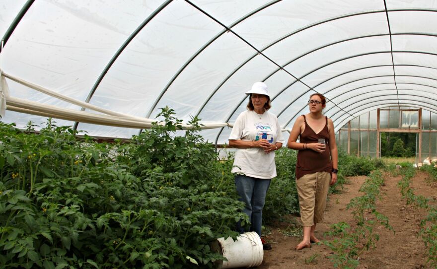 Organic farmers Margot McMillen and Julie Wheeler check on their tomato plants. They moved the plants into a greenhouse to protect them from pesticide drift.