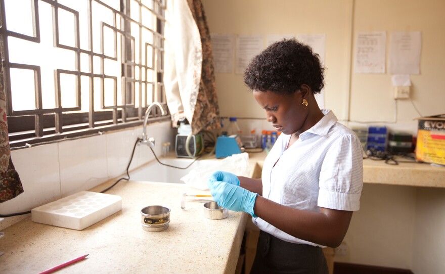 Workers at a Ministry of Health lab in Kampala, Uganda's capital, test black flies for evidence of river blindness.