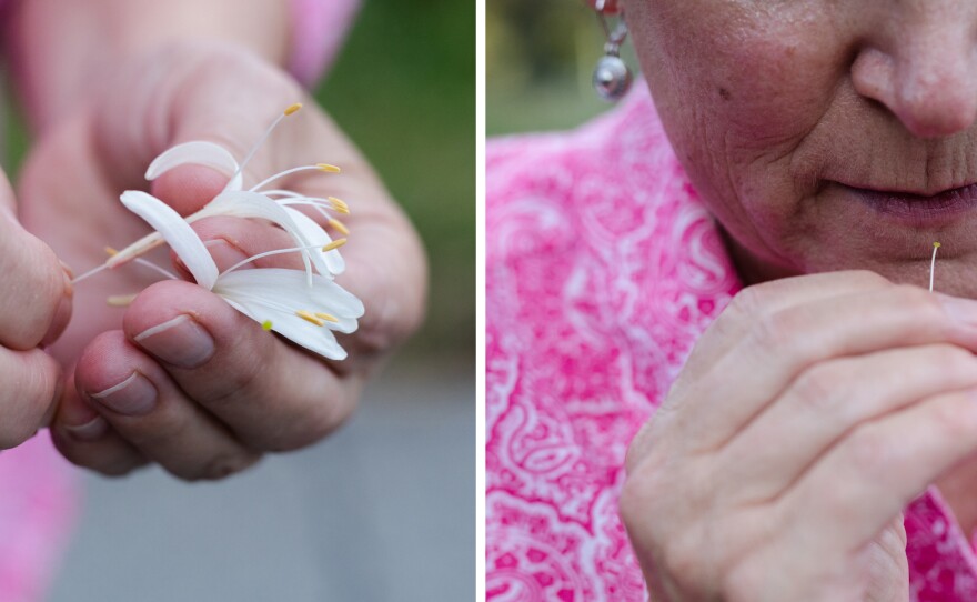 Ward says she and her sisters enjoyed picking honeysuckles on their walks home from school when they were kids.