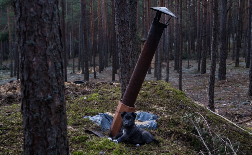 A puppy sits above a military position in western Ukraine, near the Belarus border.