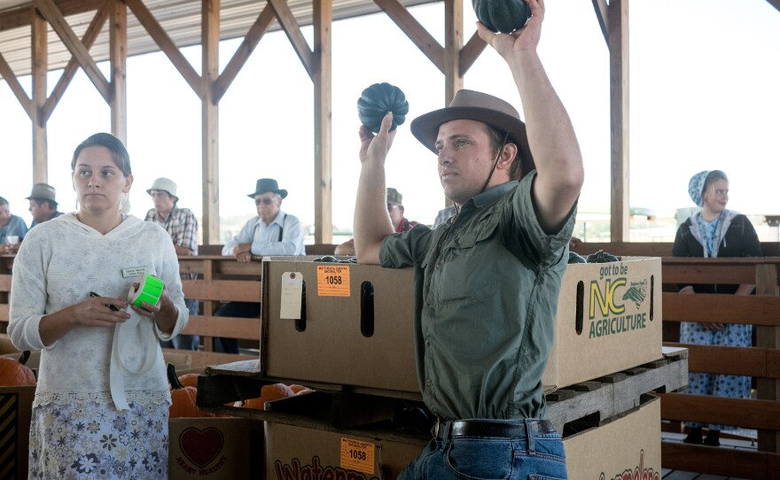 Gourds, squash and pumpkins galore are for sale at the Shenandoah Valley Auction in rural Virginia.