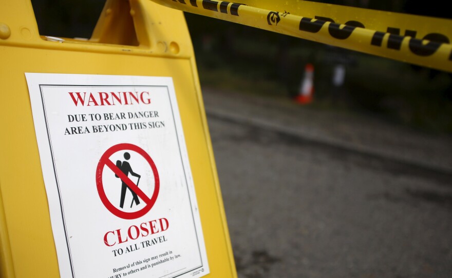 The Elephant Back Loop Trail and immediate area is closed because of the bear attack.