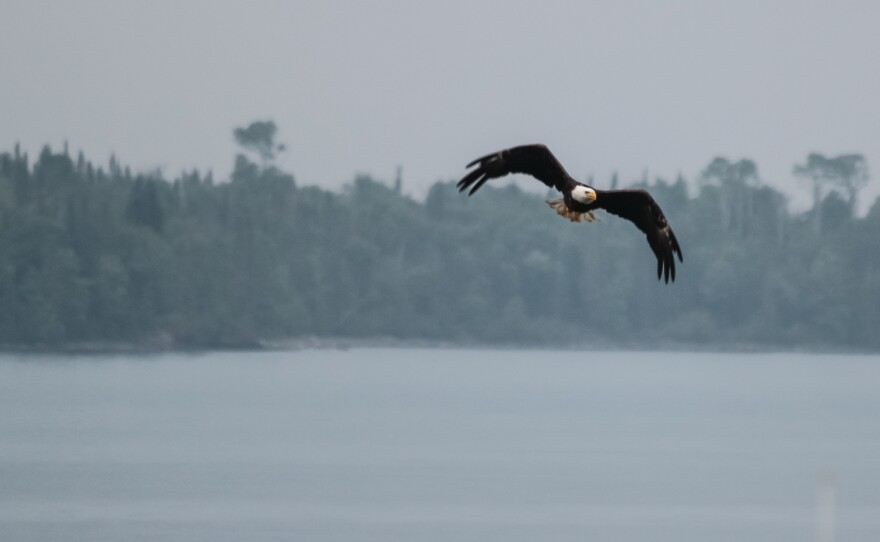Isle Royale National Park, in Michigan, was an early stop: Park #2.