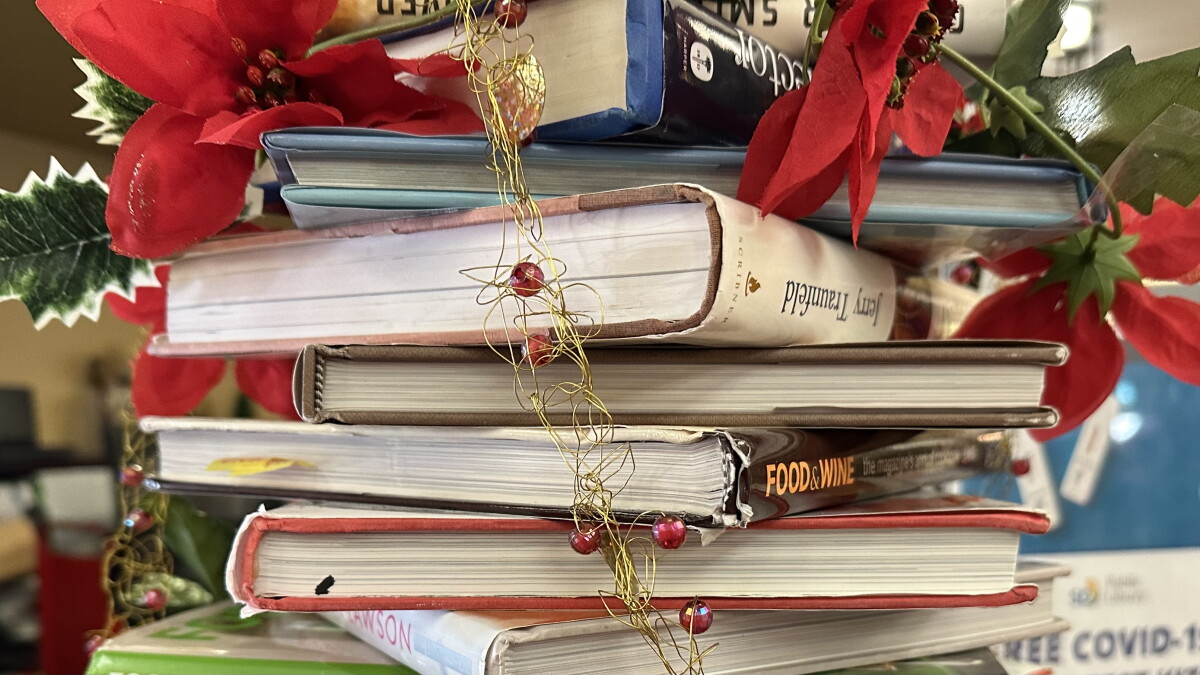 Recommended holiday season books for parents, young adults and children - Vimarsana News