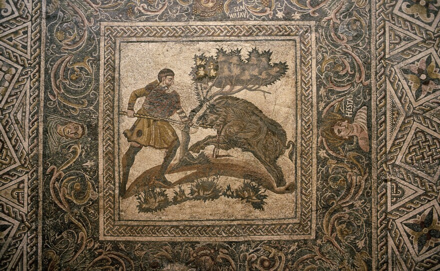 A fourth-century mosaic floor from a Roman villa — now on display at a museum in Merida, Spain — includes depictions of boar hunting.