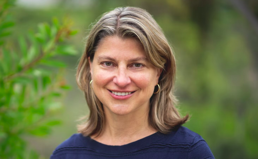 Encinitas mayoral candidate Rimga Viskanta is shown in this undated photo.