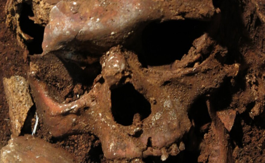 Human skull, catacomb of St. Peter and and Marcellinus.