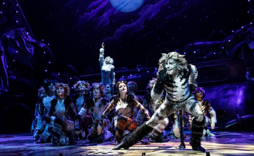 A photo from the 2019 touring production of "Cats."