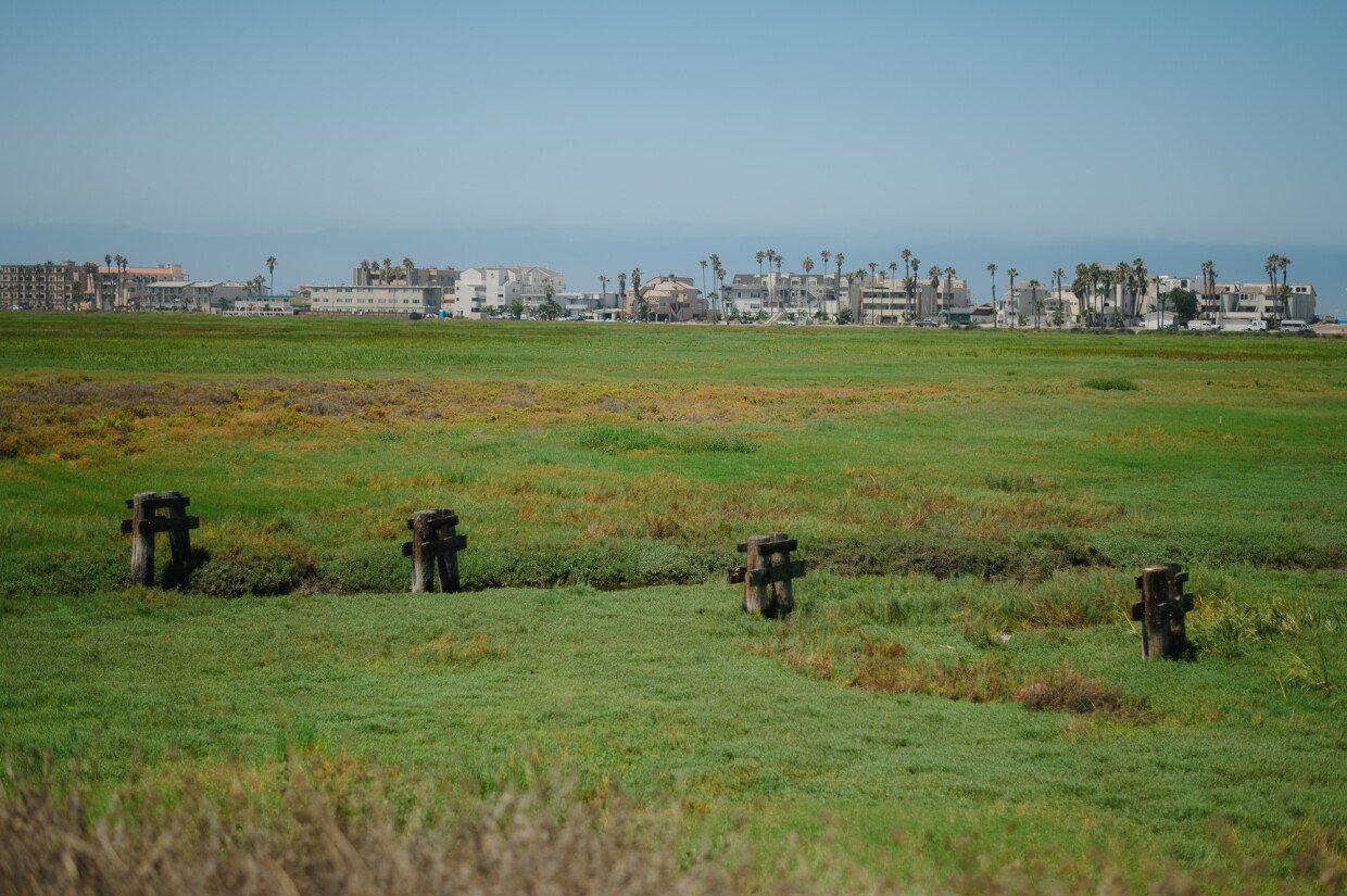 Volunteer document Ron Peterson leads his tour, “An Eye-Opening Experience Without Sight,” through the Tijuana River Estuary in Imperial Beach, California on August 3, 2024. Peterson lost his sight to glaucoma four years ago and has begun leading a tour of the estuary guided by the other senses.