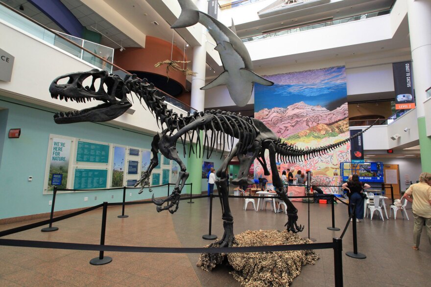 In the background, artist Eva Struble's new giant mural is shown in-progress at the San Diego Natural History Museum, in an Oct. 6, 2023 photo.