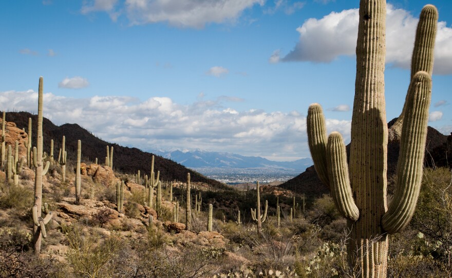 Tucson is only a few miles away from the cacti-lined canyons of Saguaro National Park, but few of its residents make the trip. The park is aiming to change that.