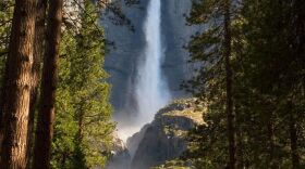 Yosemite National Park