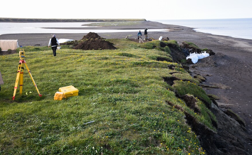 In the past few years, severe storms have ripped off big chunks of the Alaska coastline. The white bags are used to try to prevent the ancient log cabin from sliding into the sea.