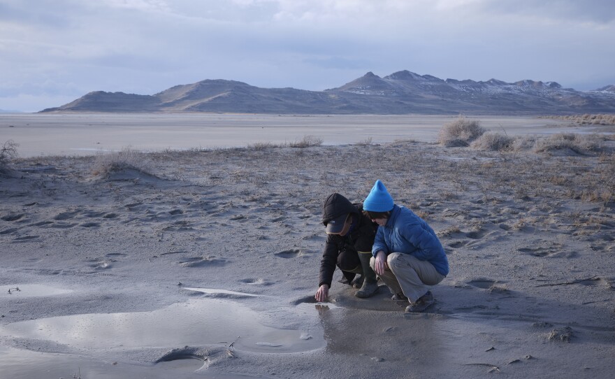 Scientists Heidi Hoven, Senior Manager at the Gillmor Sanctuary and Audubon Rockies and Bonnie Baxter, Director at The Great Salt Lake Institute, look for small flies at a bird sanctuary where many species of birds are affected by the recession of The Great Salt Lake.