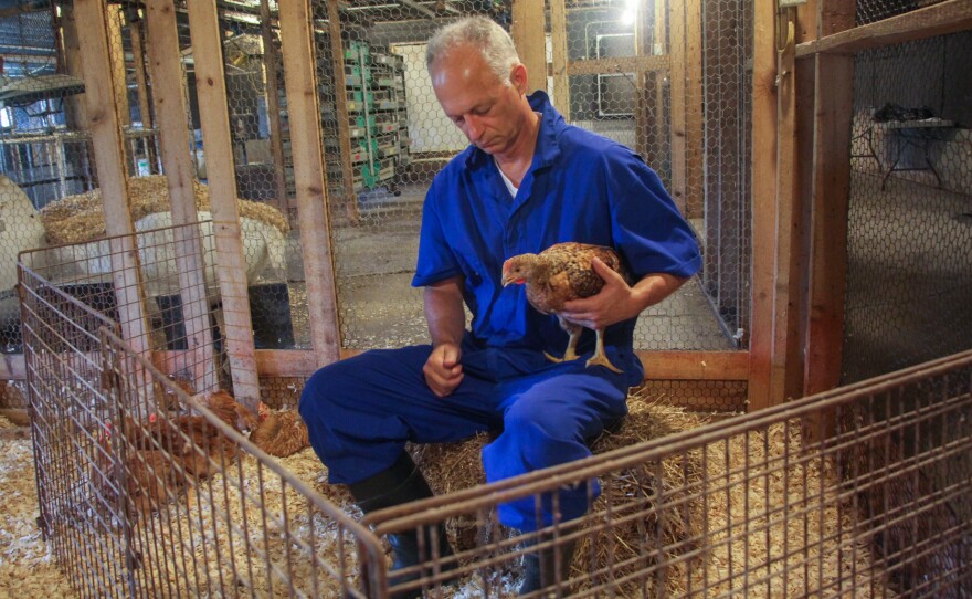 Bruce Stewart-Brown, a veterinarian and senior vice president of Perdue Farms, hold a slower-growing heritage breed chicken.