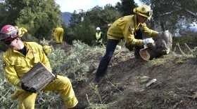 A fire prevention crew hauls away sections of a tree they cut down near Redwood Estates, Calif. Wednesday, Nov. 20, 2019. 
