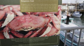 A sign describes Dungeness crabs to visitors along a walkway above boats at Fisherman's Wharf, Dec. 22, 2015, in San Francisco. 
