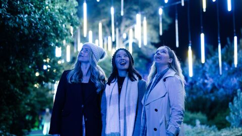 Lightscape Returns to San Diego Botanic Garden