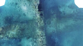 Photomosaic of downed B-25 bomber. The known B-25 twin-engine bomber wreck was in Madang Harbor. The B-25 type of aircraft was made famous by the "Doolittle Raid'' against the Japanese homeland in April 1942.
