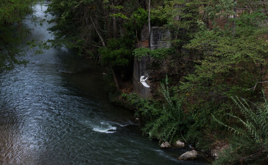 Morning on the Río Azul in Guatemala just south of the border with Mexico. Minimal police presence in the countryside between interior parts of Chiapas, Mexico, and Guatemala allows for relatively easy passage across the border.