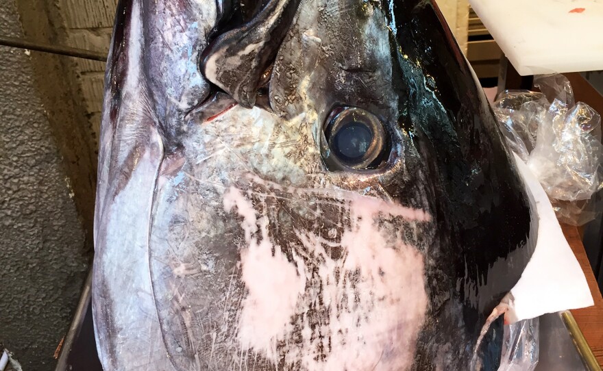 A Pacific bluefin tuna head, separated from its body, for sale at the Tsukiji Fish Market.