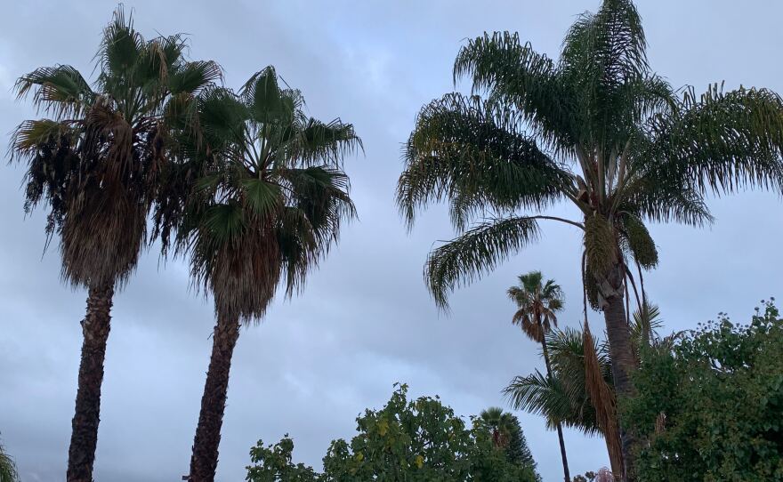 Gray clouds loom in the sky over San Carlos in this photo taken Nov. 29, 2019.
