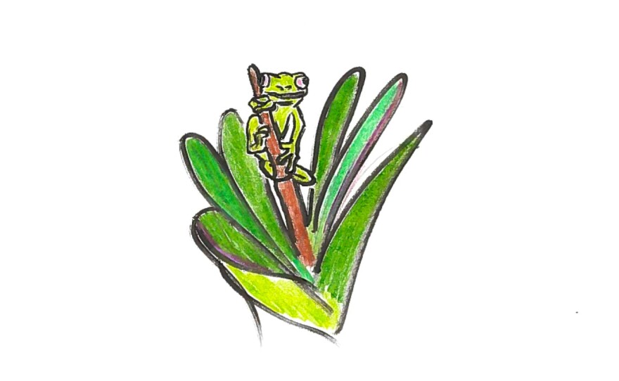 A stick with a frog.