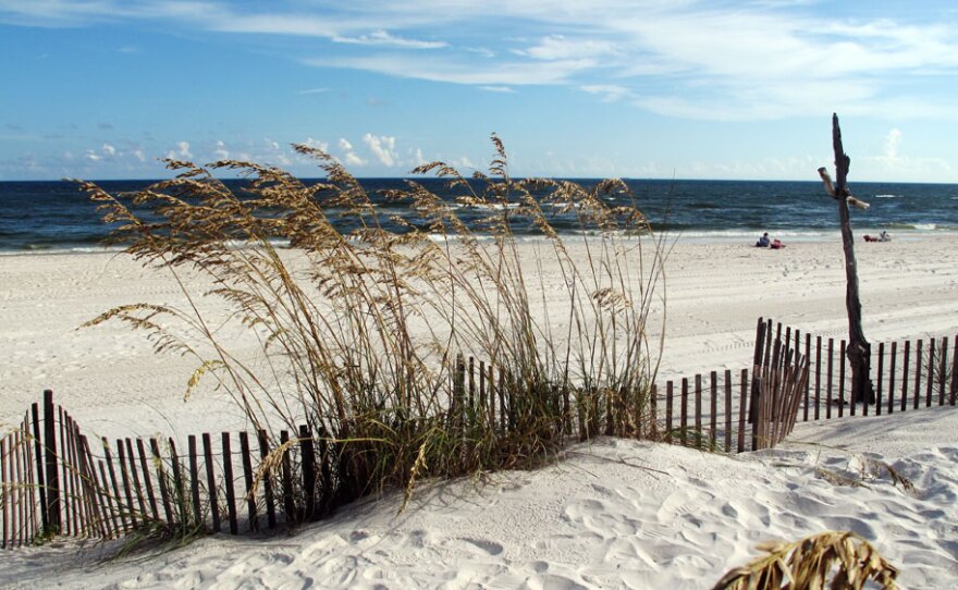 Tests have confirmed the presence of hydrocarbons on the sea oats that line the dunes in Orange Beach, Ala. -- apparently from a strong south wind that blew in over a foamy, churned-up Gulf of Mexico.