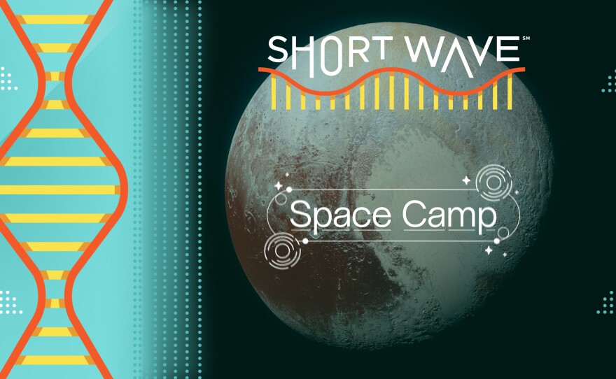 NASA's New Horizons spacecraft captured this high-resolution enhanced color view of Pluto that is inserted beneath the Short Wave logo. The image combines blue, red and infrared images taken by the Ralph/Multispectral Visual Imaging Camera.