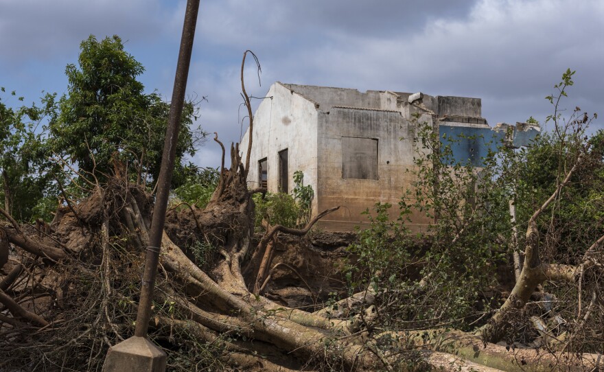 Cyclone Idai destroyed much of Buzi district in Mozambique. The storm is one of multiple major disasters that affected the country in 2019.