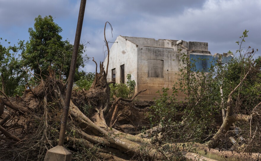 Cyclone Idai destroyed much of Buzi district in Mozambique. The storm is one of multiple major disasters that affected the country in 2019.