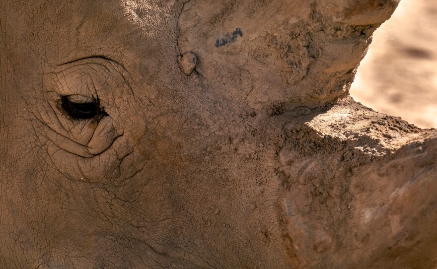 _DSF9679.jpg
