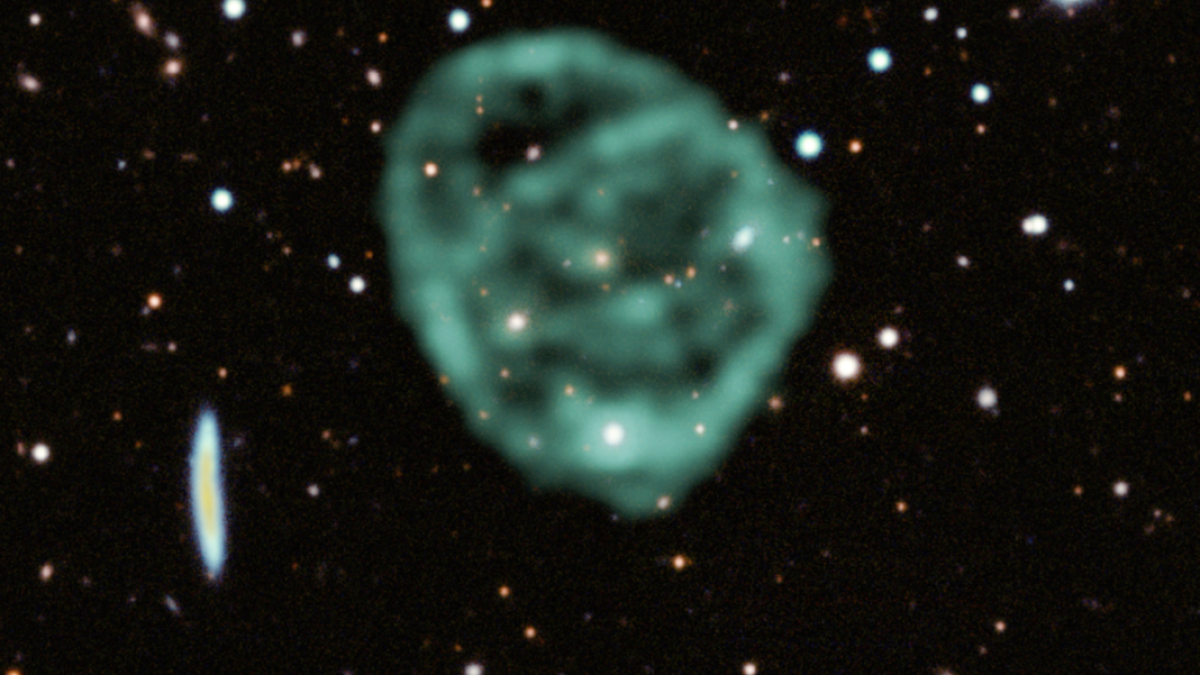 Research team examines galactic phenomena called Odd Radio Circles - Vimarsana News