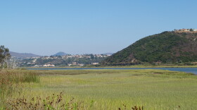 Batiquitos Marsh in Carlsbad