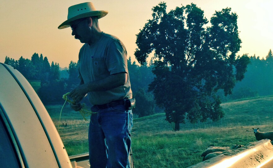 Rancher Dan Macon says he has had little choice but to experiment and take a few chances with an "off-farm" with the local University of California, Davis extension office.