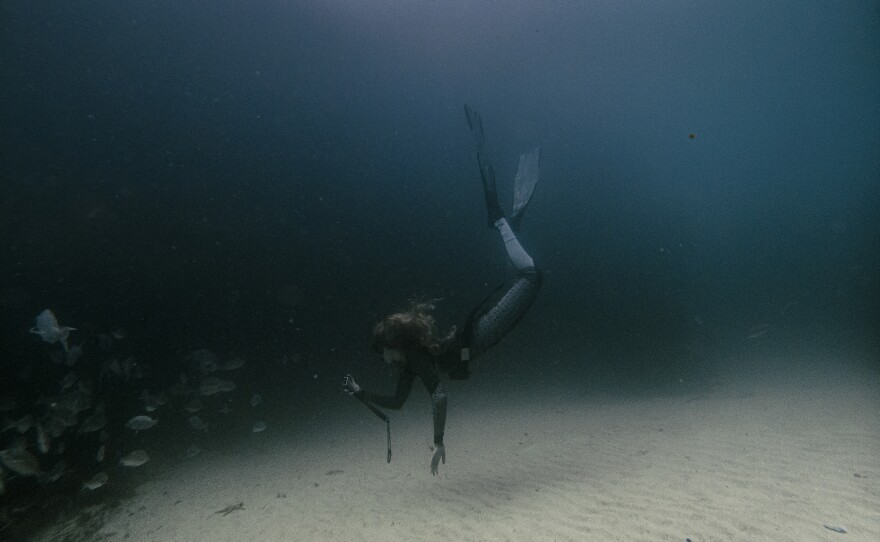 Dr. Storm Bissict, 35, dives in False Bay along the coast of Cape Town. It's her way of decompressing from her hectic pandemic days.