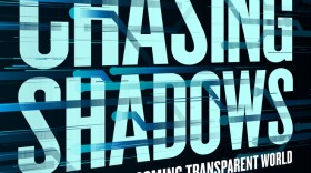 The book cover for "Chasing Shadows," a science fiction anthology edited by David Brin and Stephen Potts. 