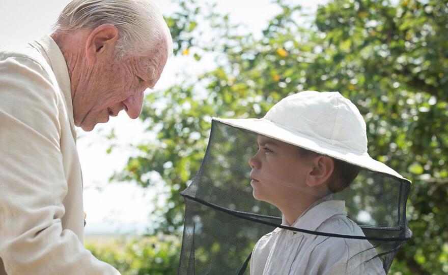 Sir Ian McKellan plays an aging Sherlock Holmes who finds inspiration in his housekeeper's young son Roger (Milo Parker) in the new film, "Mr. Holmes."