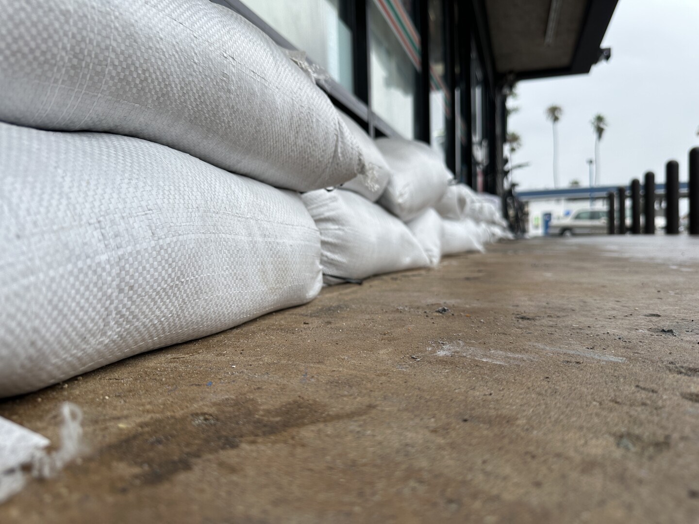 A business in Ocean Beach prepared for Tropical Storm Hilary by lining up sand bags, Aug. 20, 2023.