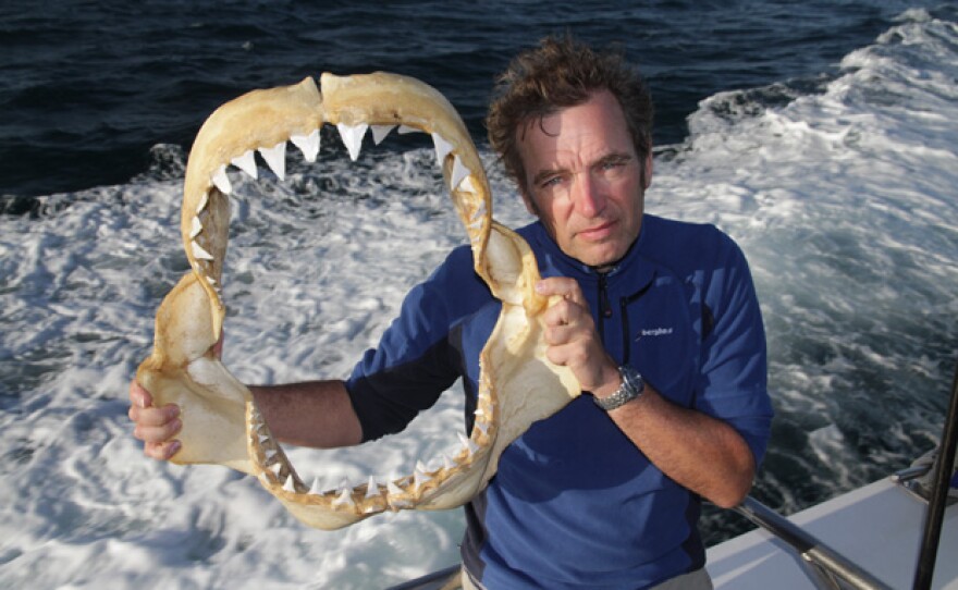 Mark Evans holds a great white shark jaw.