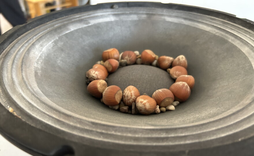 Hazelnuts bounce on a speaker at “Ess Whiteley: listening materials” at the Athenaeum Art Center in Logan Heights on Aug. 25, 2026.