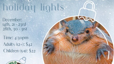 Holiday Lights Tours at Wild Wonders