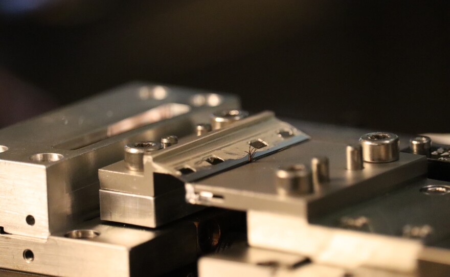 An experimental setup is used to perform hair-cutting experiments inside a scanning electron microscope in the Tasan Group lab at the Massachusetts Institute of Technology in 2019.