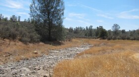 A dry creek bed in the Red Hills Mountain range of Tuolumne County, August 2014.