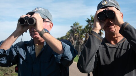 Rick Grove, left, and David Trissel — two of San Diego County's top birders — spot birds near Robb Field in Ocean Beach on Dec. 18, 2025.
